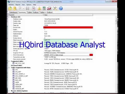 Overview of Firebird Server for Database Management