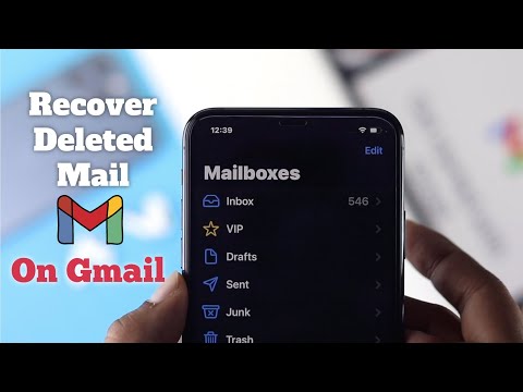 Steps to Recover Deleted Gmail Emails Quickly