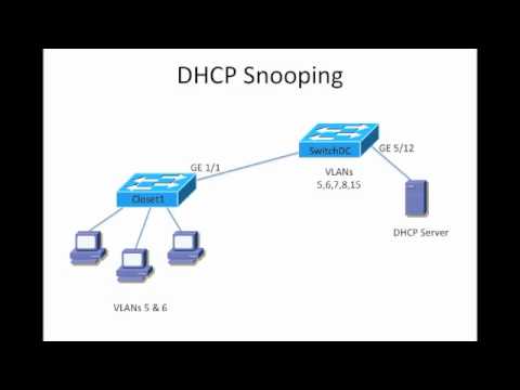The Role of DHCP Snooping in Modern Network Design