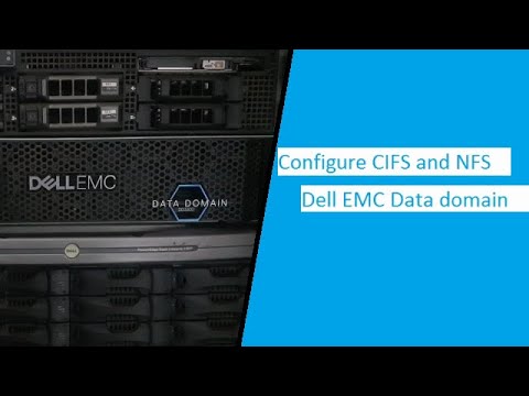 Setting Up Dell EMC Data Domain for Efficient Storage