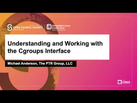 Security Implications of Using Cgroups in Multi-Tenant Systems
