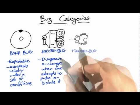 Common Bug Types and Their Effects on Software Quality