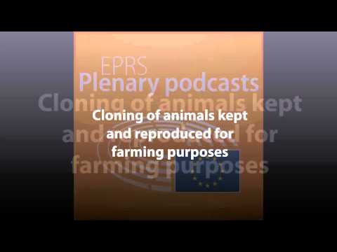 Cloning in Agriculture: Benefits and Controversies Explained