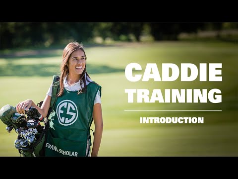 Best Practices for Choosing the Right Caddy for Your Needs