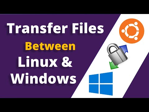 Transfer Files from Linux to Windows Easily and Effectively
