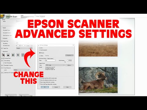 Epson Scan Performance Tips for High-Quality Scanning