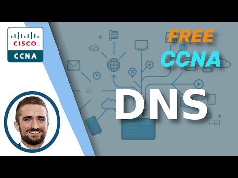 Understanding How to Configure DNS for Your Network