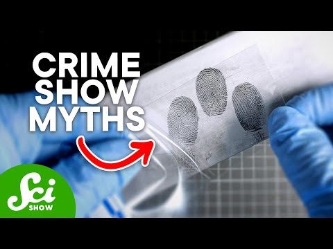 Understanding the Role of Forensics in Criminal Investigations
