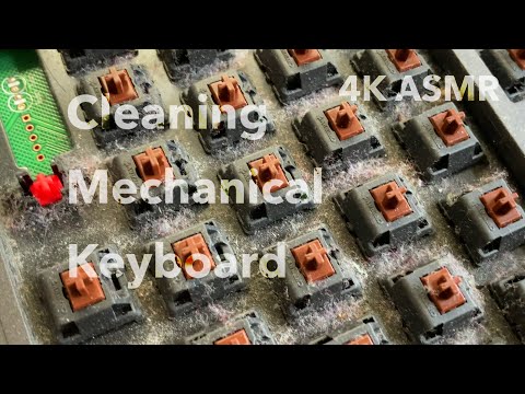 Ducky One Keyboard Maintenance Tips for Longevity