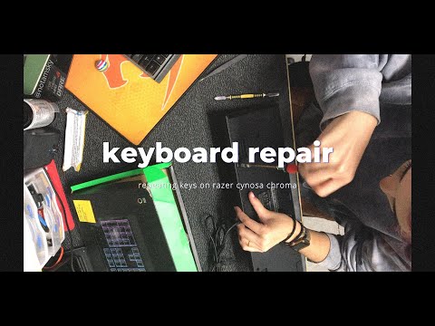 Cynosa Keyboard Maintenance Tips for Longevity