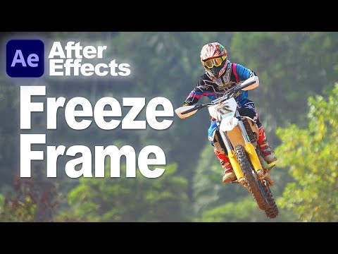 Exploring Freeze Frame Effects in Animation and Graphics