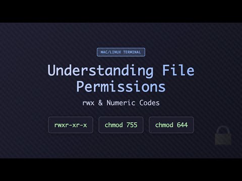 Advanced CHMOD Techniques for Secure File Access Control