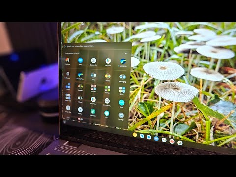 Comprehensive List of Apps Available for Chrome OS