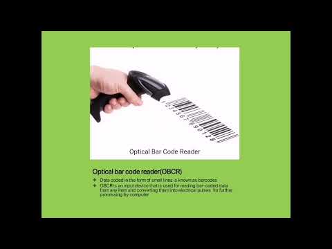 Input Devices and Accessibility: Enhancing User Experience