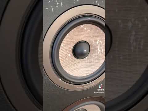 Performance Review of Focal Aria 948 Speakers