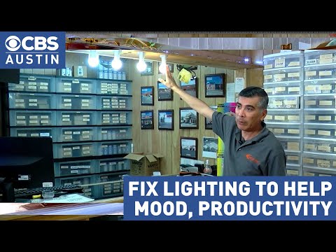 The Impact of Light Bulb Choices on Mood and Productivity