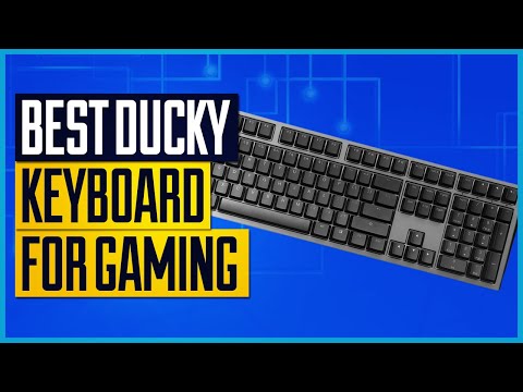 Comparing Ducky One Models: Which is Best for You?
