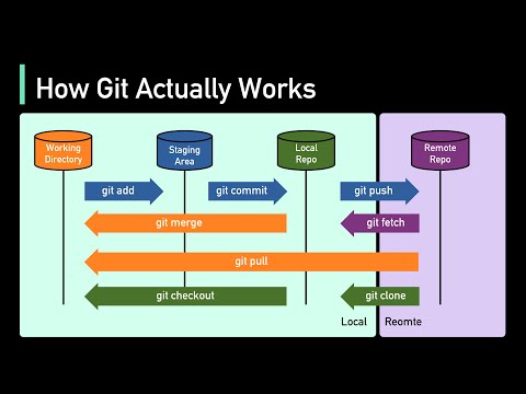 Understanding Git Repository Structure and Best Practices