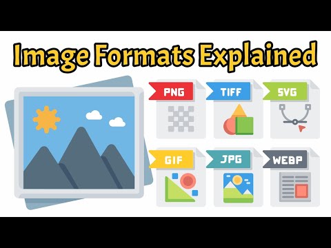 Understanding File Formats: Choosing the Right One
