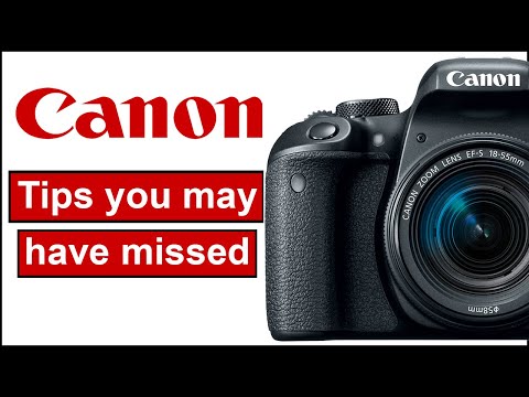 Canon Camera Features You Didn't Know About for Better Shots