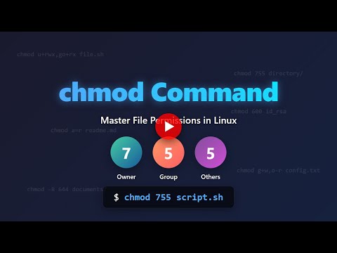 Mastering CHMOD: A Comprehensive Guide to File Permissions
