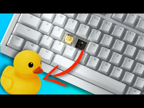 Exploring the History and Evolution of Ducky Keyboards
