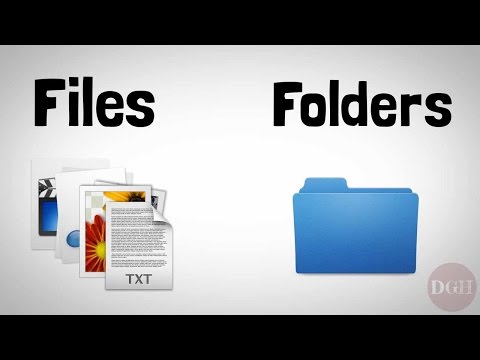 Exploring the Role of Folders in File Management Systems