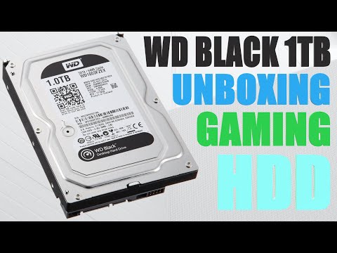 Exploring the Western Digital 1TB Hard Drive Performance