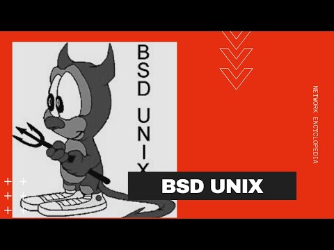Exploring BSD Unix and Its Features for Developers