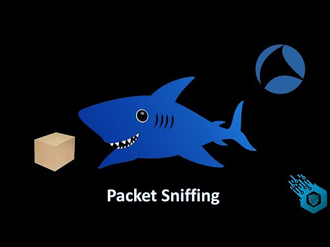 Understanding the Security Implications of HTTP Sniffers