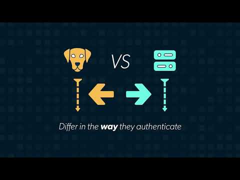 LDAP for Mobile Applications: Enhancing User Authentication