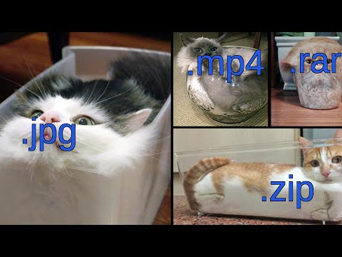 File Compression Techniques to Save Space and Time