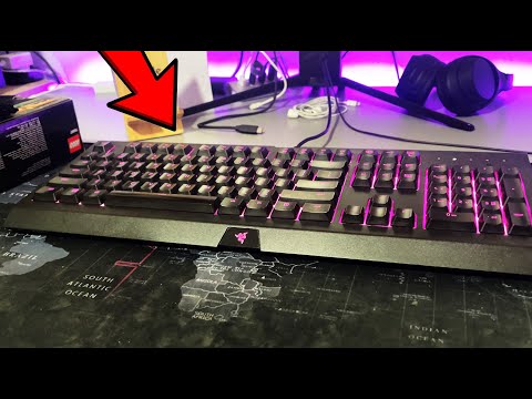 Comparing Cynosa V2 and Chroma: Which is Best for You?