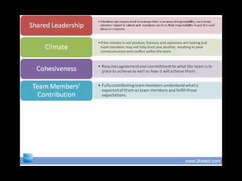 Evaluating the Impact of Assessment Tools on Team Performance