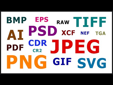 Understanding Document Formats: Choosing the Right One