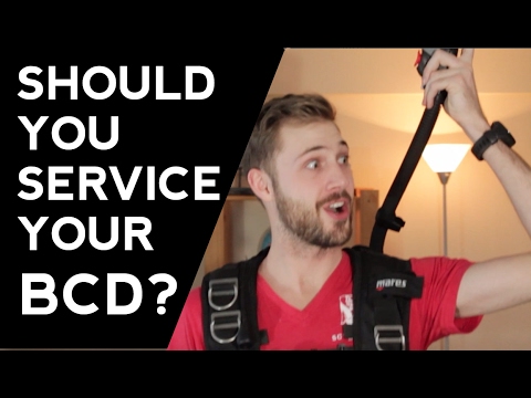 Daily Maintenance Tips for a Healthy BCD Setup