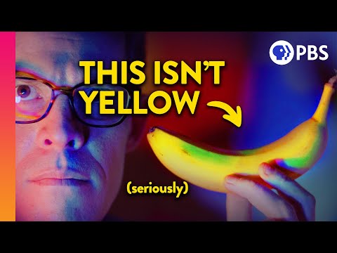 The Science Behind Brightness and Color Perception