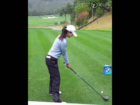 Install Driver Easy Pro for Effortless Driver Management