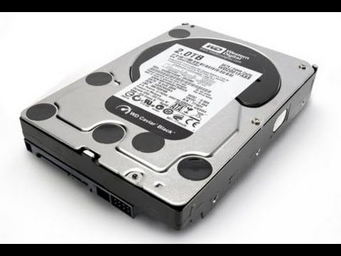 Exploring WD Caviar Black Hard Drives for Storage Solutions