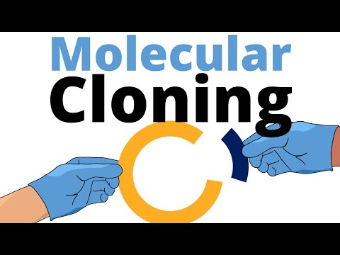 Cloning Techniques: A Comprehensive Guide for Beginners