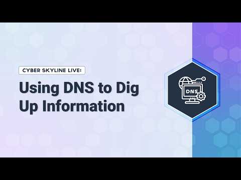 Enhancing Network Security: Using DIG for DNS Analysis