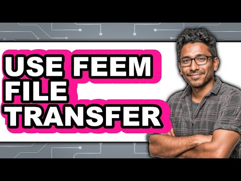 Troubleshooting Common Issues with Feem File Transfers