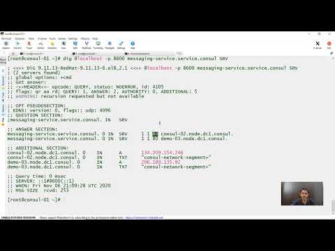Consul DNS for Efficient Service Discovery and Management