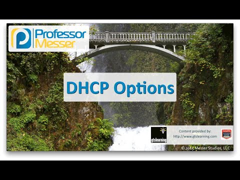 Understanding DHCP Options for Better Network Management
