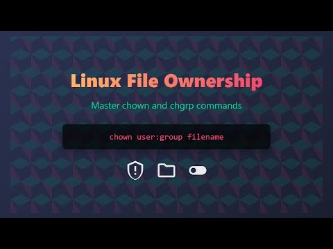 Best Practices for Using CHOWN in Multi-User Environments