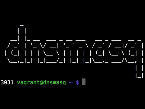 Optimizing Dnsmasq for High-Performance DNS Resolution
