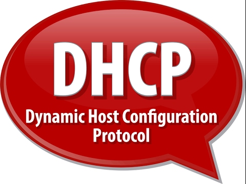 Renewing DHCP Lease in Ubuntu for Network Stability