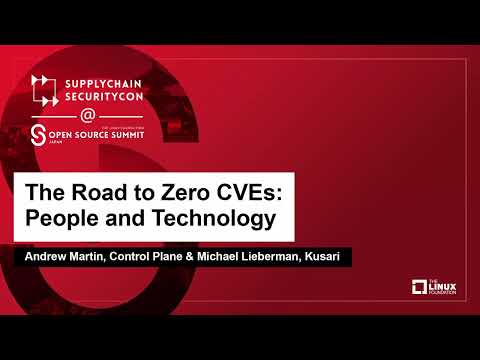 The Role of CVEs in Modern Software Development Practices