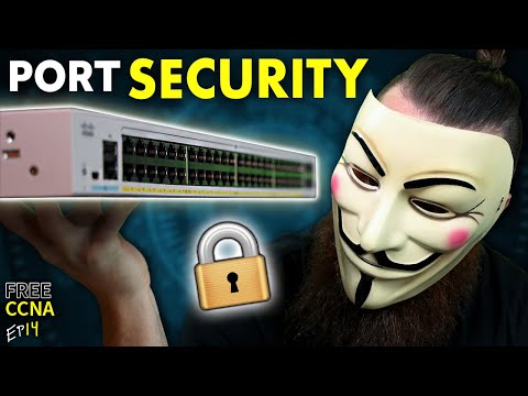 Essential Tools for Monitoring Open Network Ports Effectively
