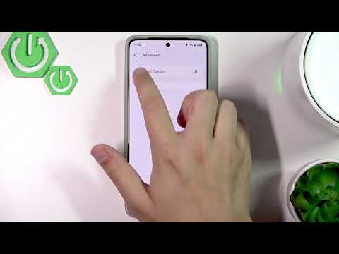Configuring TP-Link Deco Guest Network for Secure Access